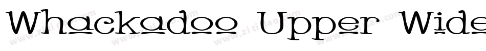 Whackadoo Upper Wide字体转换